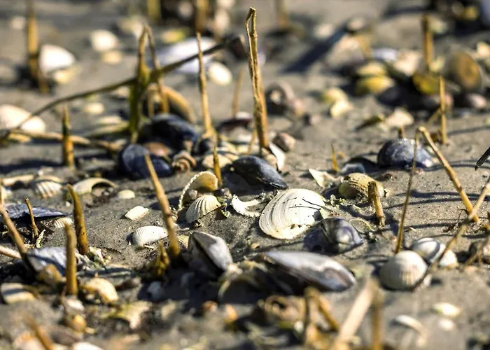 Σπίτι διακοπών 8987-orsted-strandskadevej-45 *